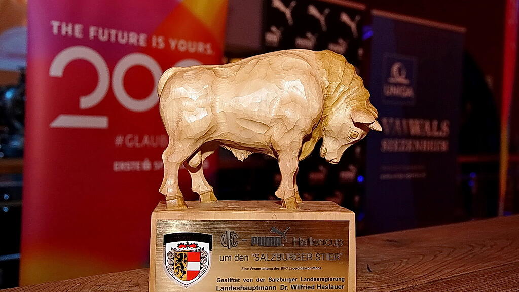 Salzburger Stier, Hallenfußball,