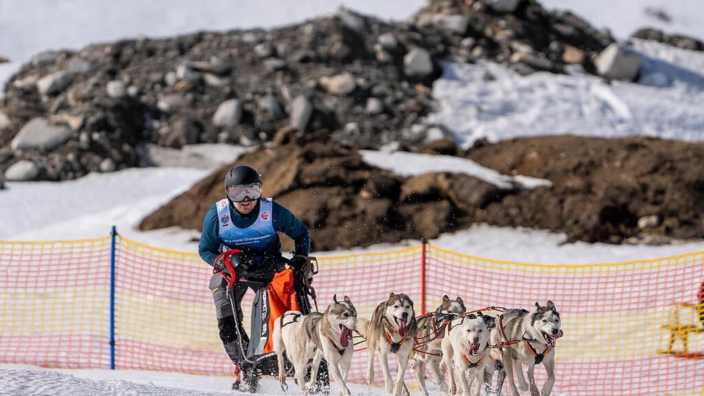 Schlittenhunde-WM in Sportgastein, Samstag