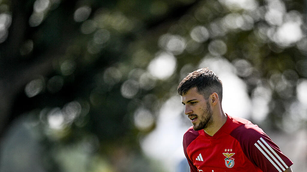 Roger Schmidt, Benfica Lissabon