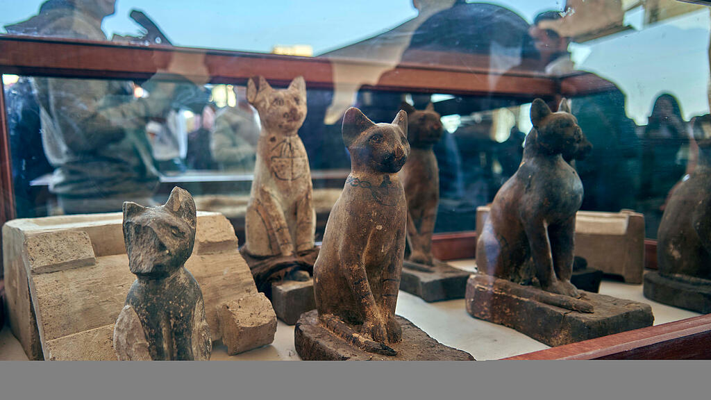 Mumifizierte Löwenbabys in Ägypten