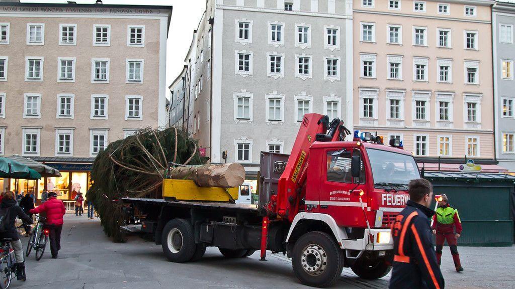 Christbaum ist angekommen
