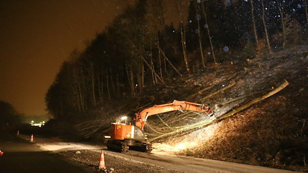 Rodungsarbeiten an der A1