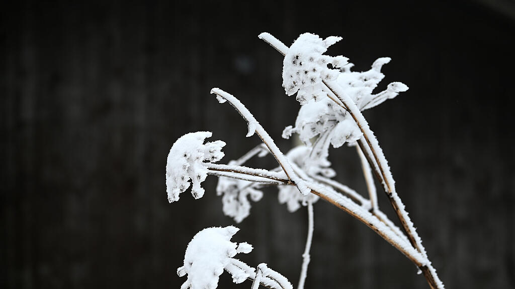 symb_winter; symb_schnee; symb_wetter