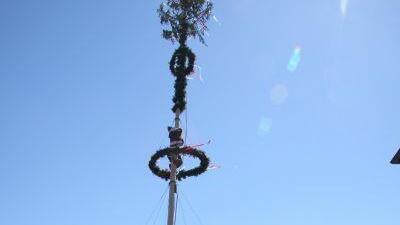 Maibaumaufstellen in Hof
