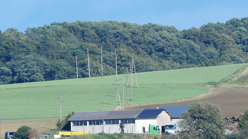 Vier Tote nach Amoklauf in NÖ