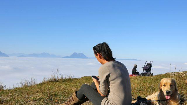 Bilder vom Gaisberg