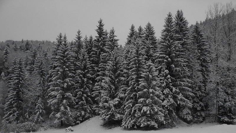 Winter in Ebenau