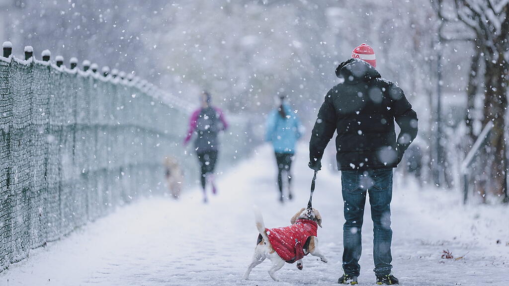 Wintereinbruch im Pinzgau
