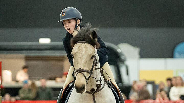 Amadeus Horse Indoors 2023