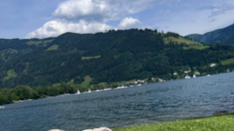 Welthundetag 2025: Salzburgs beste Bilder II