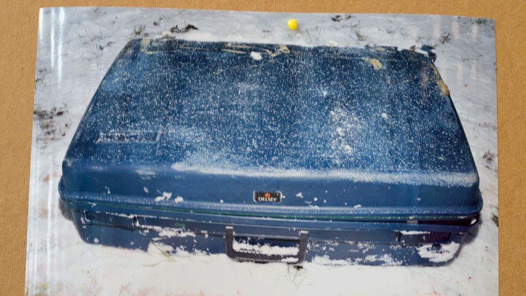 Leichenteile in Koffern am Traunsee entdeckt