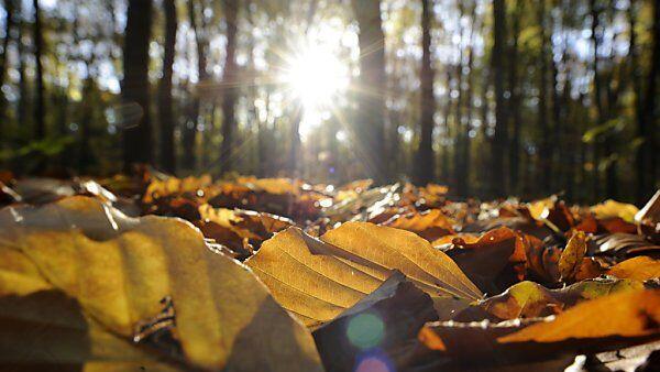 Wunderbares Herbstwetter an diesem Wochenende