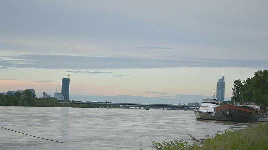 Leserreporter: Hochwasser in Wien-Döbling (Donau bei Nussdorf)
