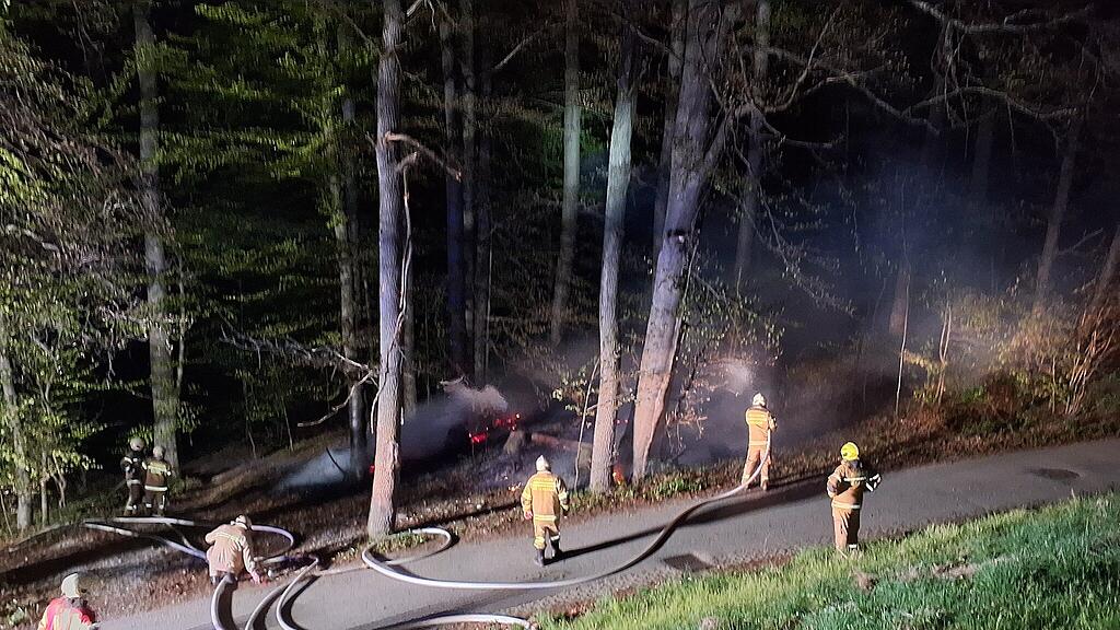waldbrand henndorf