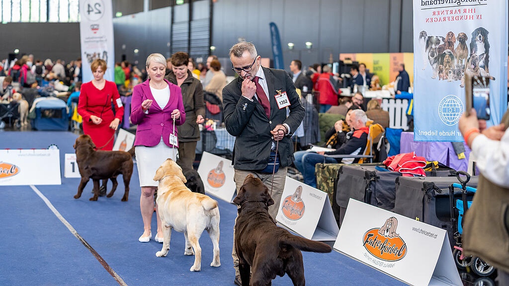 Internationale Hundeausstellung Salzburg 2022
