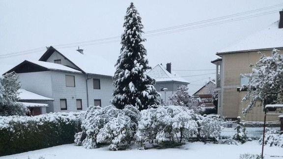 Winter überrascht Salzburg