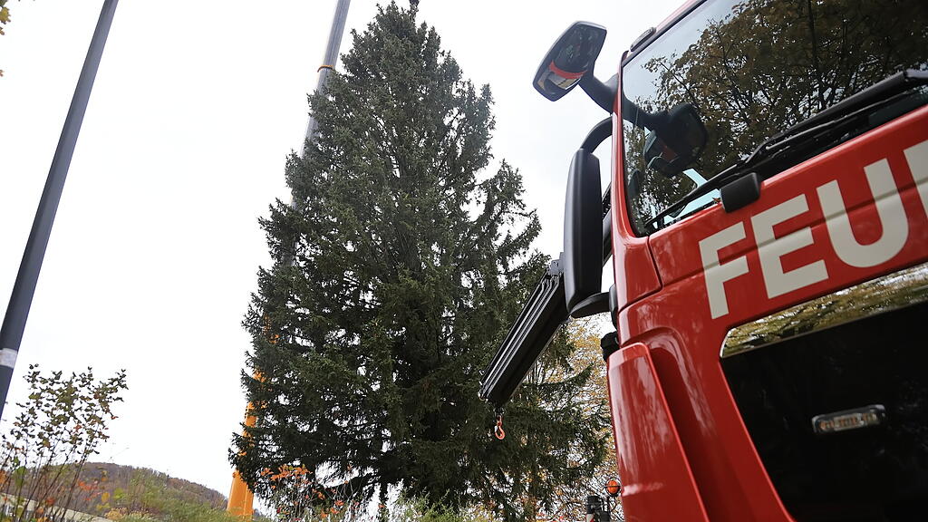Baumernte, Salzburger Christkindlmarkt