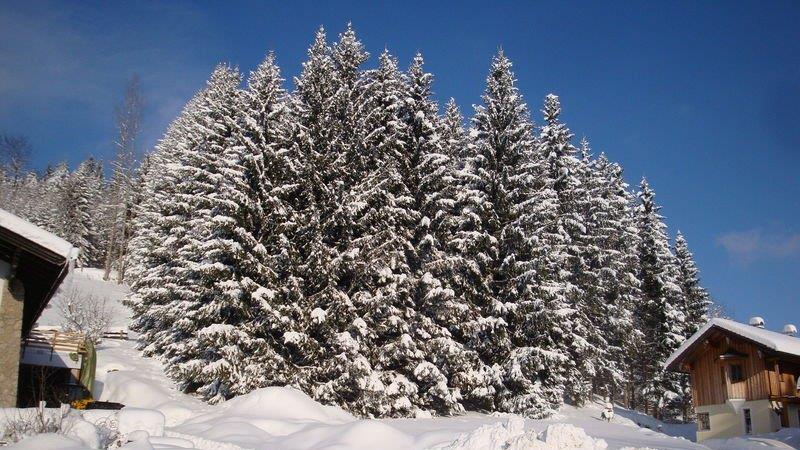 Winteridylle in Ebenau