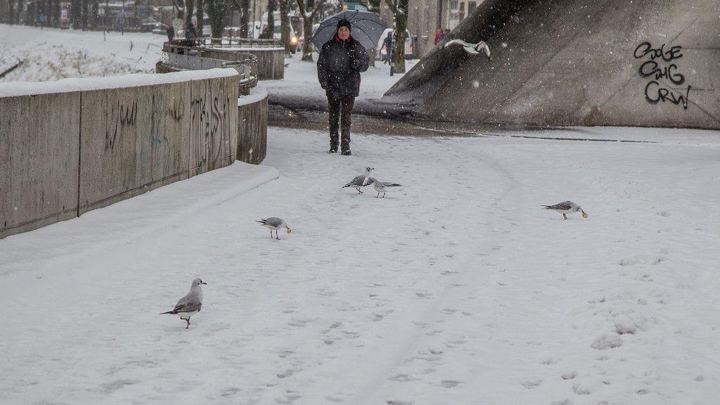 Schneechaos in der Stadt Salzburg