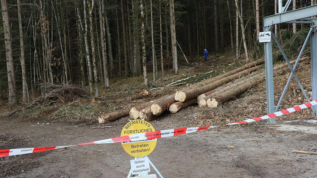 380-kv-leitung, widerstand, gegner, protest, bad vigaun