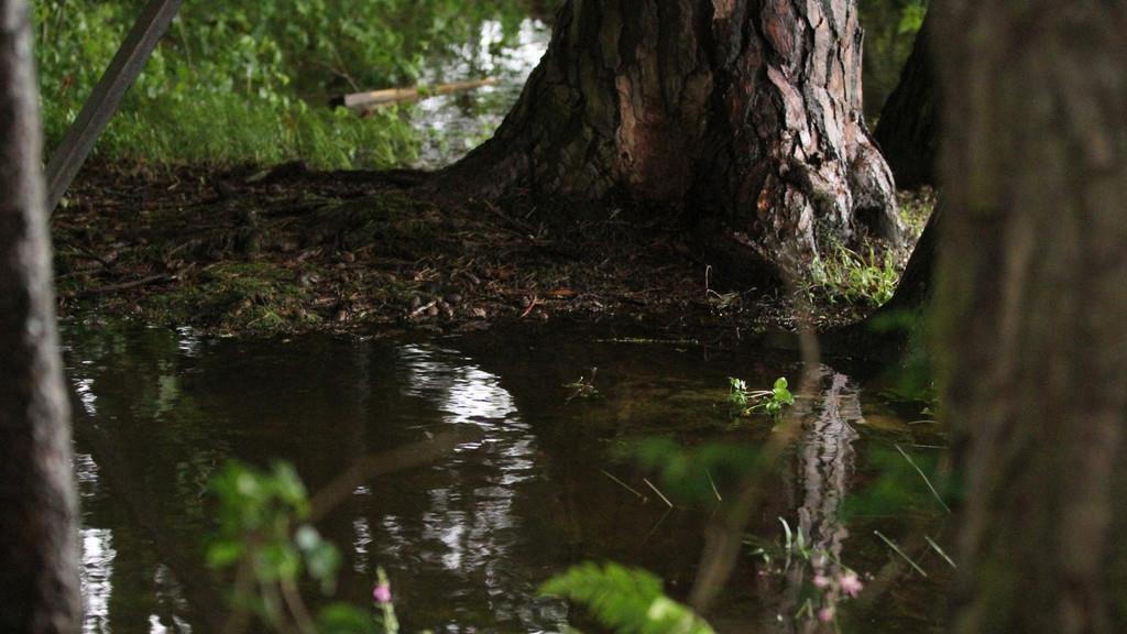 Hochwasser: Lage im Lkr. Traunstein angespannt