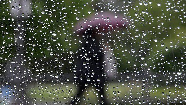 Der viele Regen hat auch gute Seiten