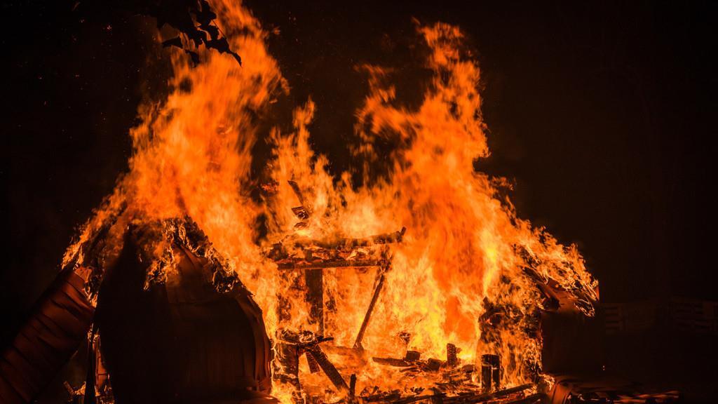 Burning Animal II
