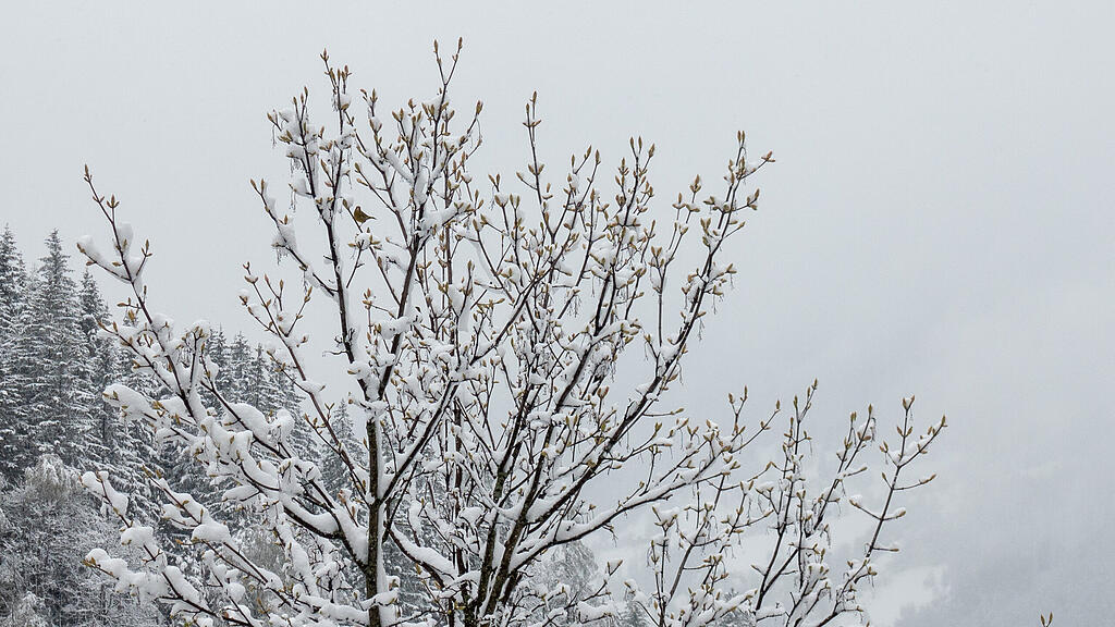Wintereinbruch in Bad Gastein