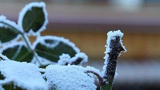 Frost am Morgen
