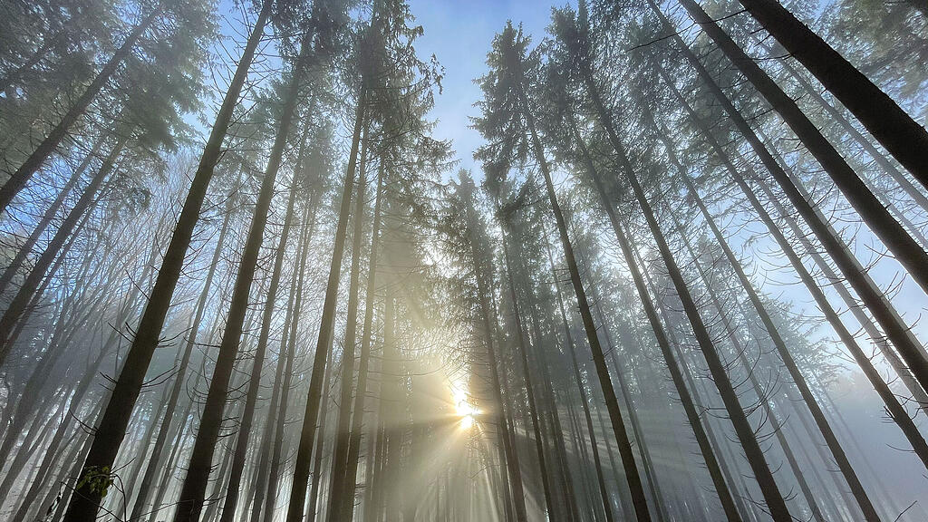 symb_Herbst, symb_Herbstsonne,