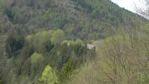 Strubklamm: Müllberge & Feuerstellen