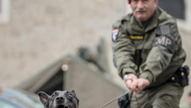 Bundesheer in Salzburg: Leistungsschau II