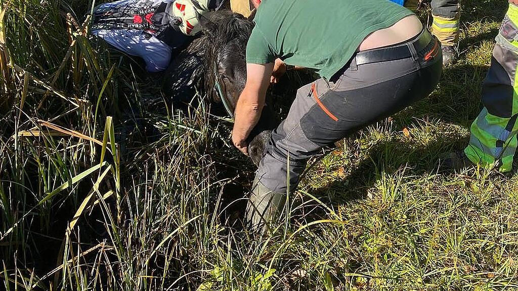 Pferd drohte in Bad Hofgastein zu versinken
