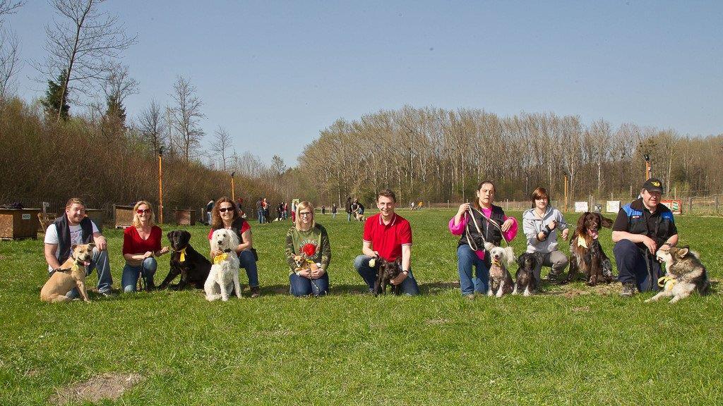 "Der gelbe Hund" in Nußdorf