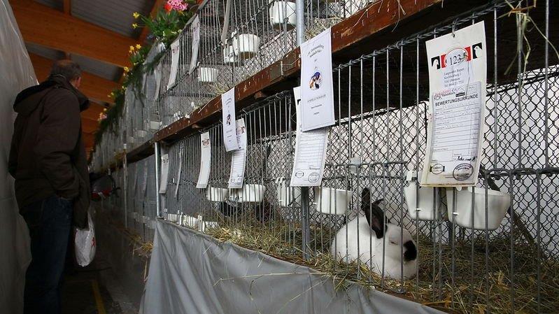 Bilder der Ausstellung