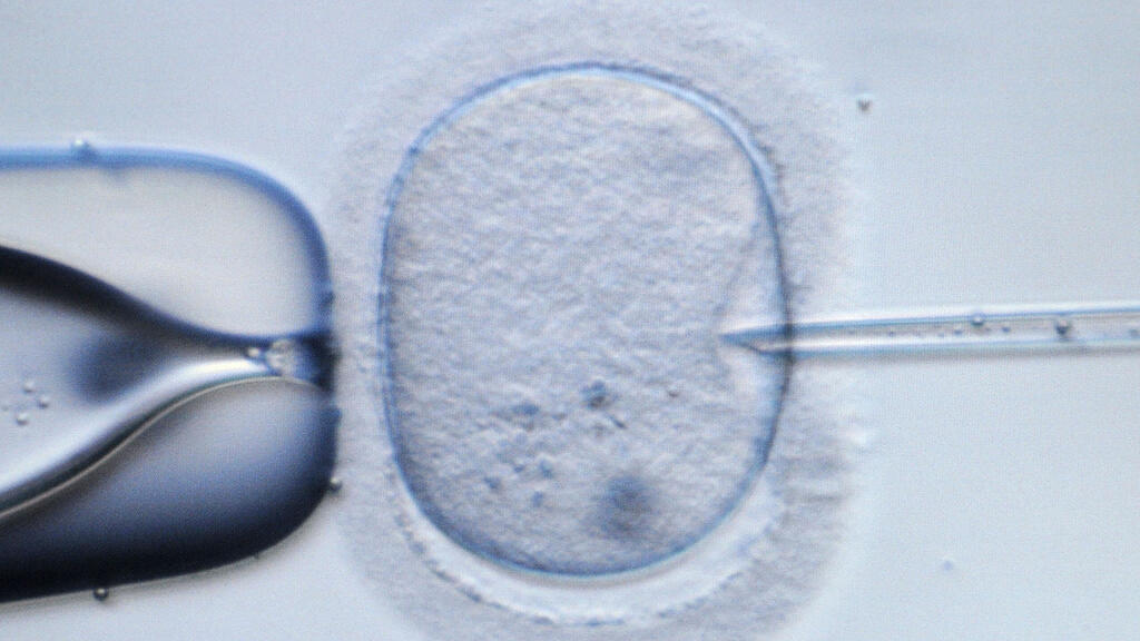 Social Egg Freezing