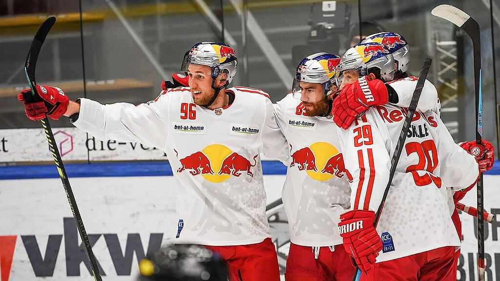 Eisbullen im Halbfinale