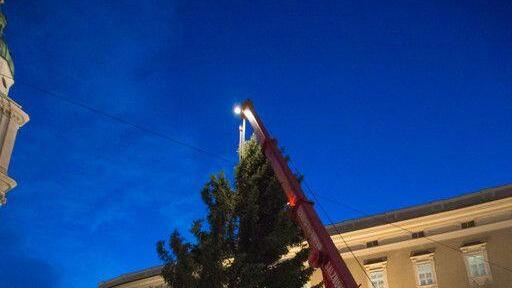 Salzburger Christbaum steht