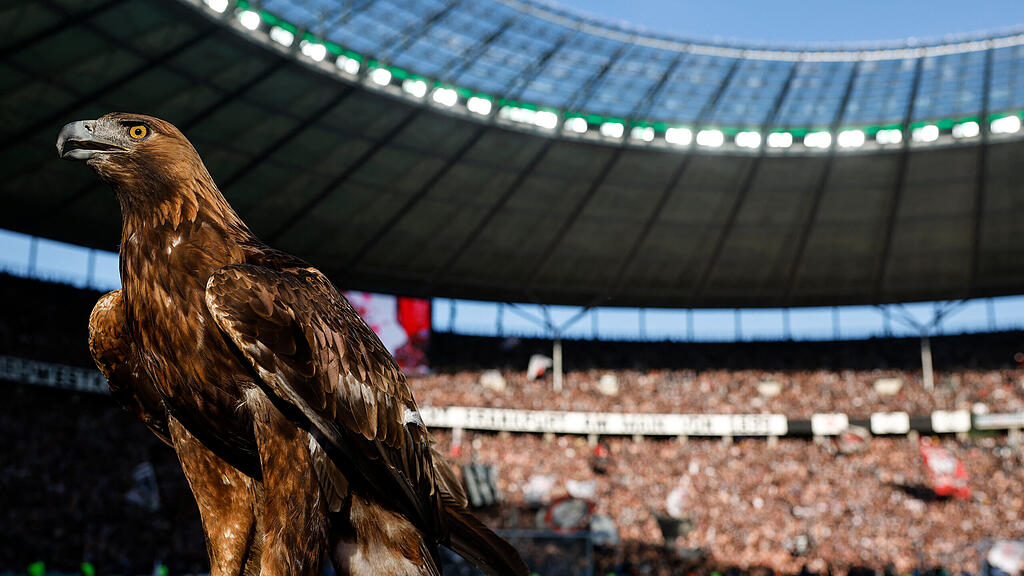 RB Leipzig, Eintracht Frankfurt