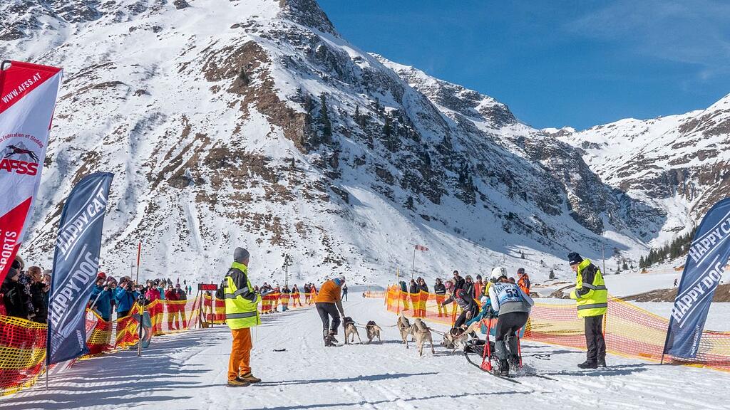 Schlittenhunderennen in Sportgastein