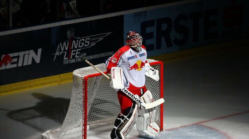 Red Bull Salzburg - Black Wings Linz