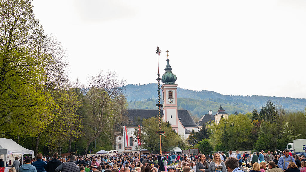 Maibaumaufstellen in Aigen