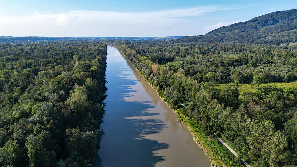 Salzach Antheringer Au