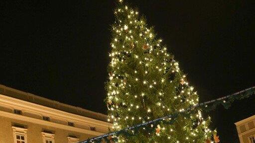 Windböe fällt Christbaum