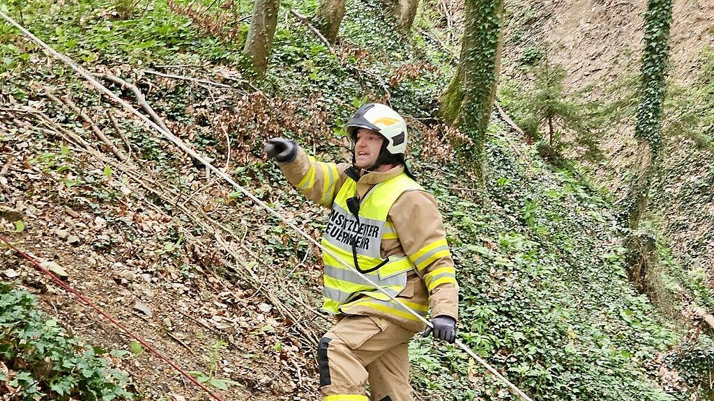Feuerwehr Nußdorf rettet entlaufenes Kalb