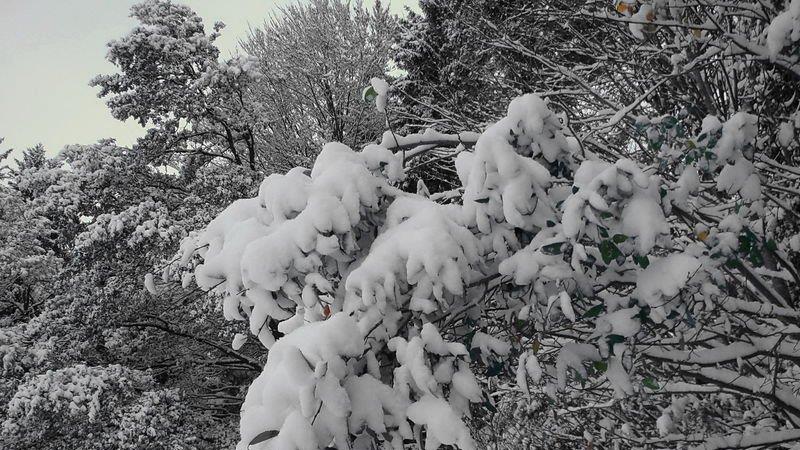 Winter in Ebenau