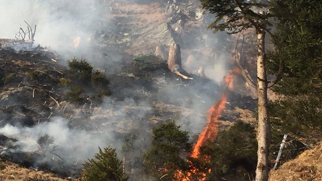 Flächenbrand Hüttschlag