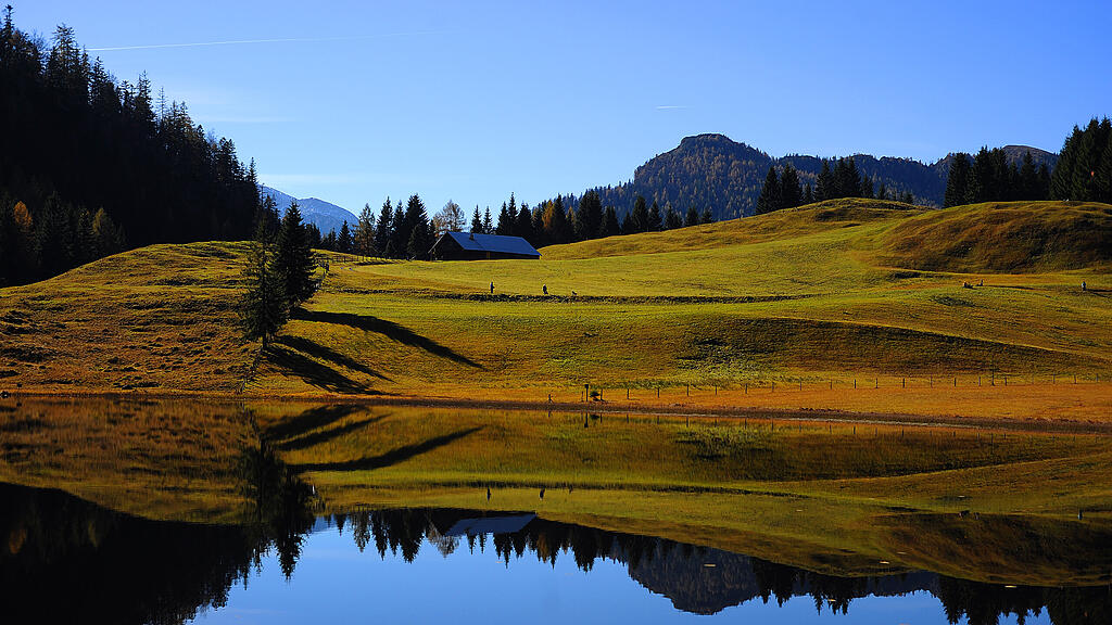 20131107_PD11329.HR.jpg