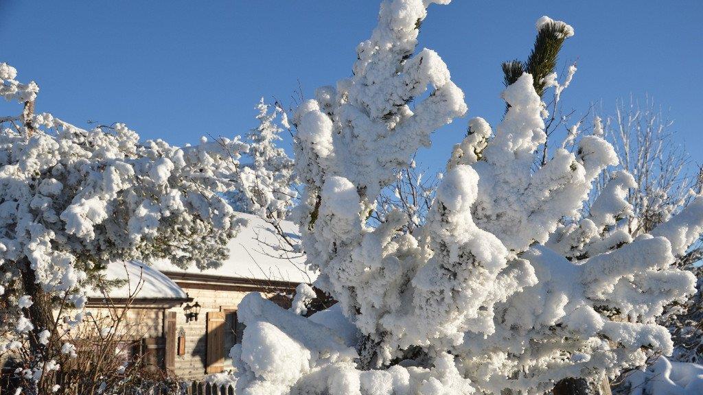 Winterspaziergang am Gaisberg