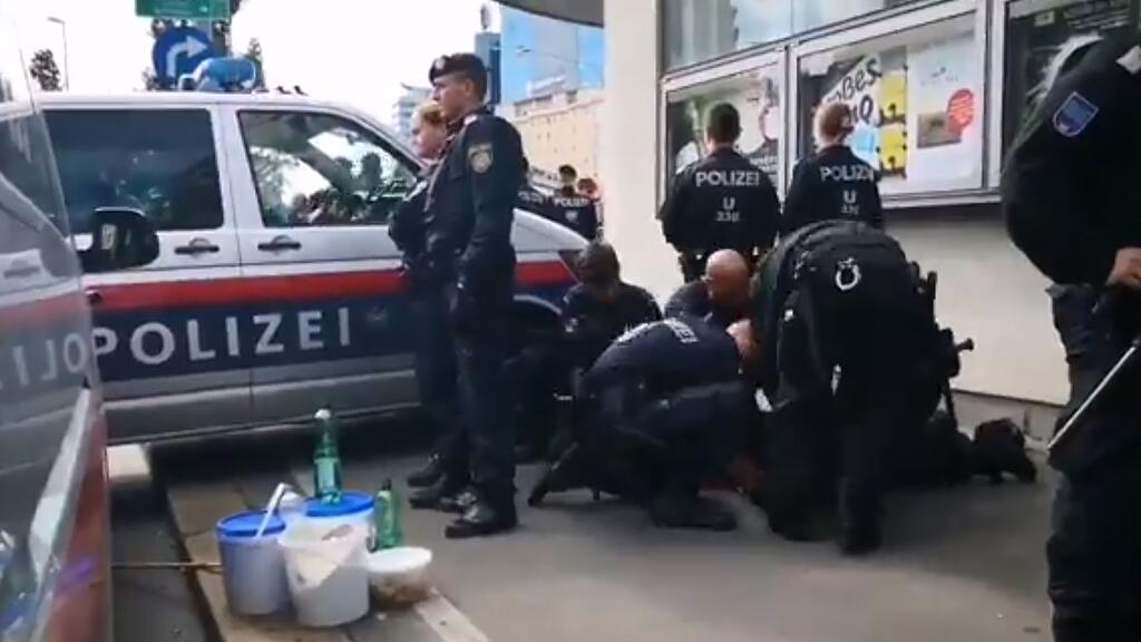 Mutmaßliche Polizeigewalt, Klimastreik Wien